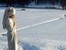 Winter Impressions
