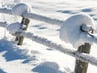 Winter Impressions