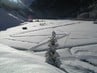 Winter Impressions