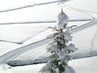 Winter Impressions