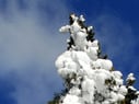 Skiurlaub im Ahrntal