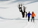 Ski da fondo