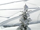 Cross country skiing through uncontaminated nature